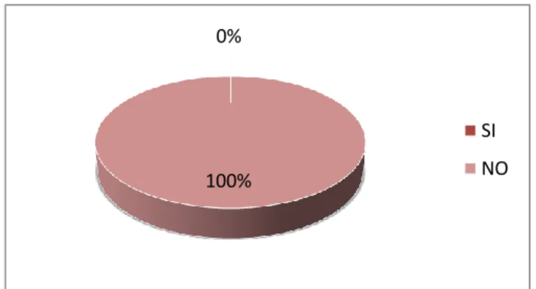Gráfico Nro. 9 