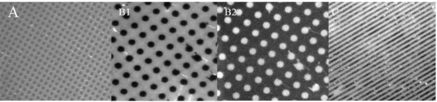 Table 2. PE contact angle measurements on  glass.  Surface  SiOx  PEI  PSS  PAH  PLL-g-PEG  Contact angle 12  ± 6 48 ±22 44  ± 5 44  ± 9 24  ± 3  Surface PSS PAH PLL  Contact angle 33  ± 5 3 8 ± 2 31  ± 3  Polyelectrolyte patterning 