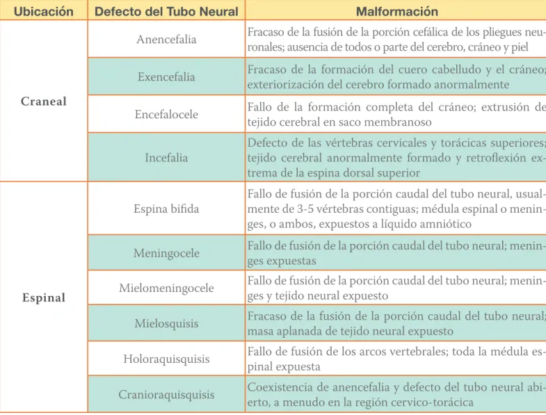 Tabla No. 1  Defectos del tubo neural