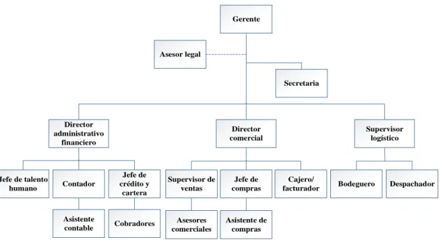 Figura 10. Estructura funcional propuesta. 