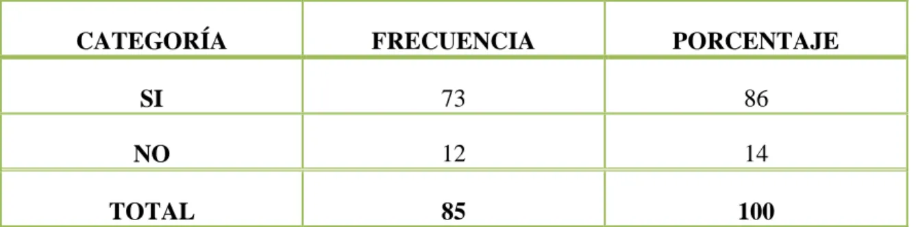 GRÁFICO No.-  6 