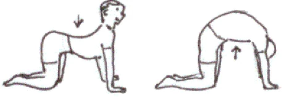 Ilustración 8 ejercicios posturales  Fuente: (Blanco, 2008) 