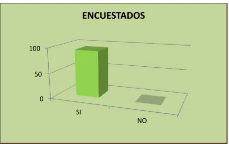 Gráfico 9 
