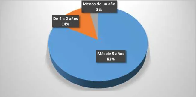 Gráfico 2. Experiencia como profesional de enfermería