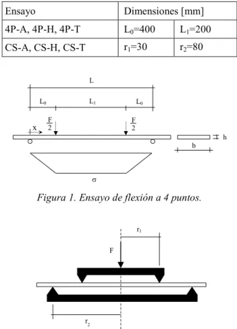 Tabla 1. Dimensiones características de los ensayos. 