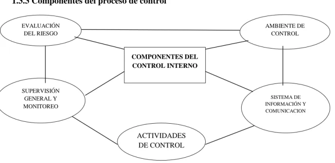Figura N° 1 Componentes del Control Interno 