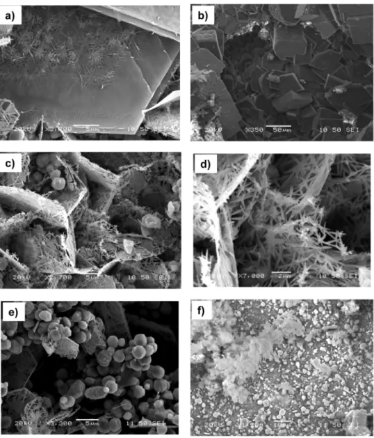 Figure 7. SEM photographs of sample MCE 2 under different magnifications. Detail of oxidize surface boards with (a) FeCl 2 ; (b) CaCO 3 ; (c,d) a FeOOH; 