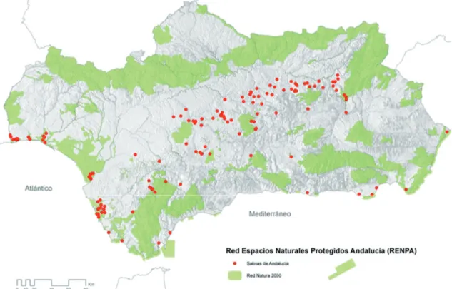 Figura 9. Red Natura 2000 en Andalucía y salinas