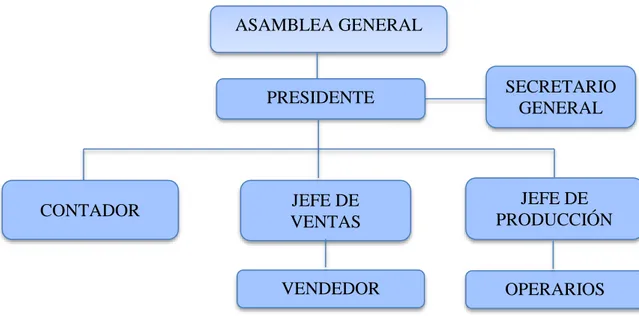 Figura 6: Estructura Organizacional 