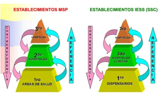Figura 3. Establecimientos MSP 