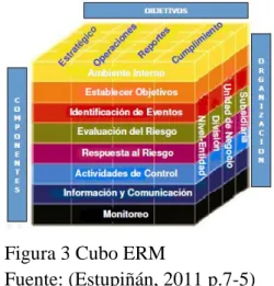 Figura 3 Cubo ERM