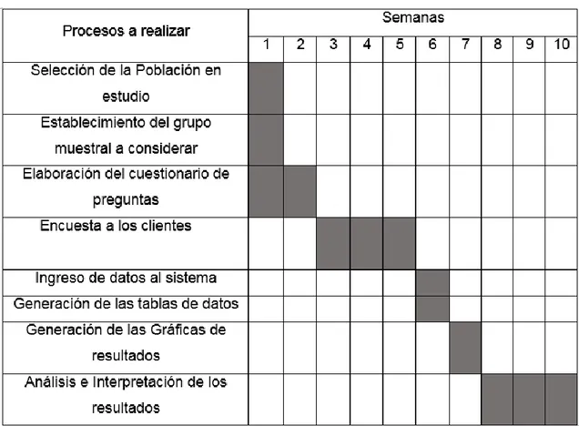 Tabla 1: Cronograma de actividades para el levantamiento y  procesamiento de datos en el Comercial López 