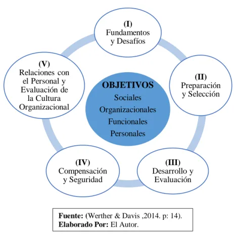 GRÁFICO 5