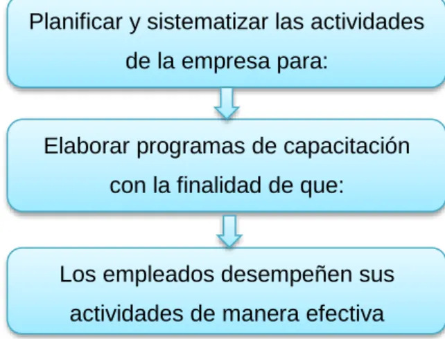 Figura 8: Necesidades de capacitación 