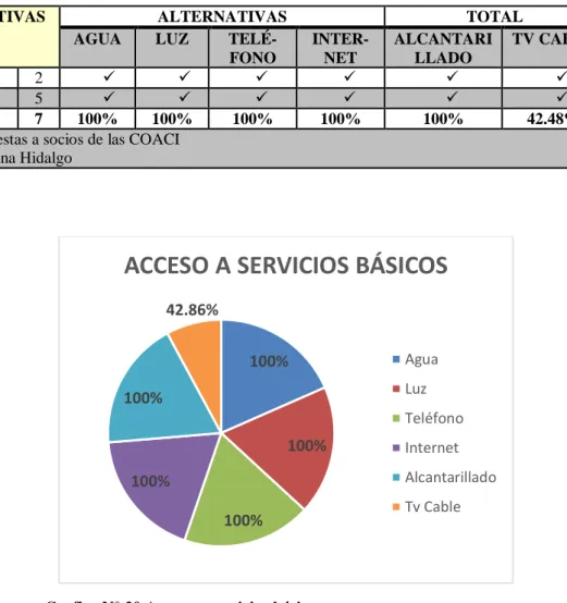 Tabla N° 41 Acceso A Servicios Básicos 