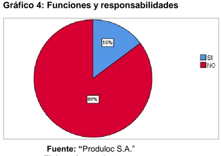 Cuadro 4: Funciones y responsabilidades 