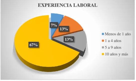 Gráfico 9 Experiencia Laboral 