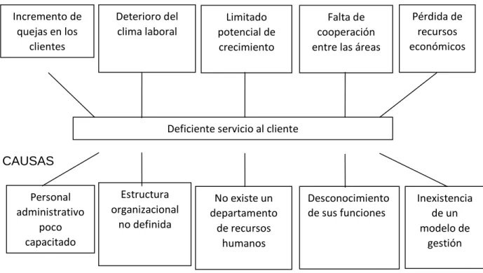 Gráfico N. 1  EFECTOS 