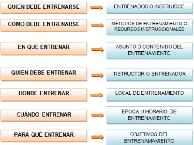 Gráfico N° 2: Programa de entrenamiento 