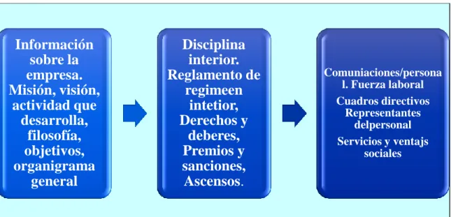 Figura 5: Programa de inducción 