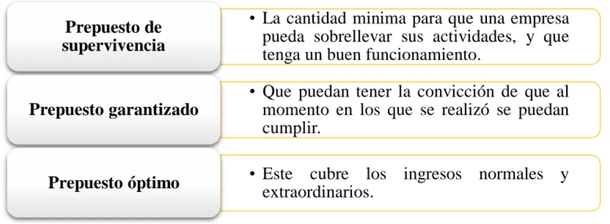 Figura 6. Tipos de presupuestos