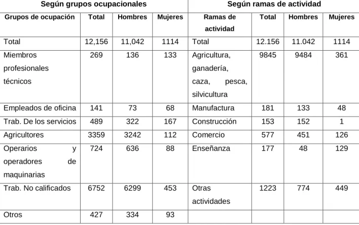 Tabla 1: Población Económicamente Activa