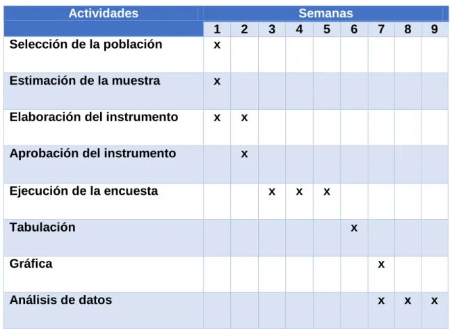 Tabla 2: Cronograma