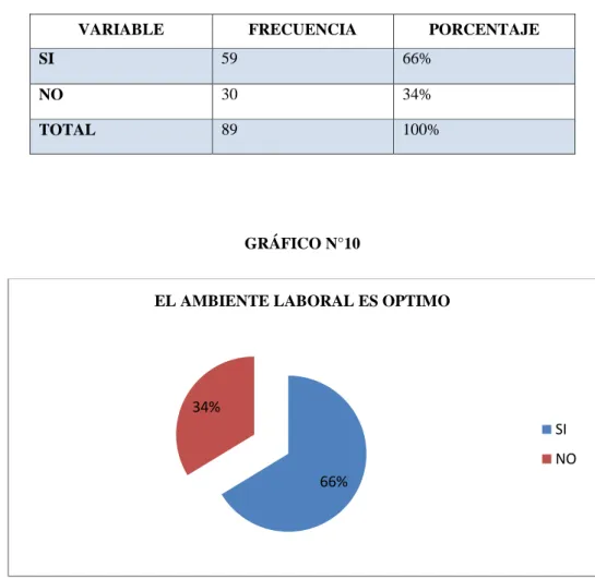 GRÁFICO N°10 