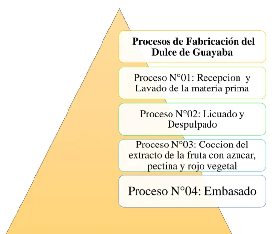 GRÁFICO N O   5 