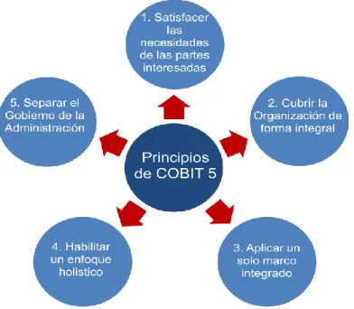 Figura 2: Principios de Cobit 