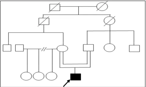 Figura 1. Árbol genealógico de la familia PJZM.