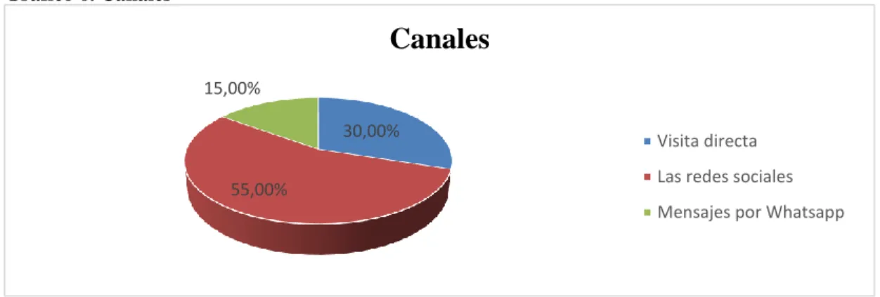 Gráfico 6. Canales 