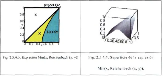 Fig. 2.5.4.3: Expresión Min(x, Reichenbach (x, y))  Fig. 2.5.4.4: Superficie de la expresión 