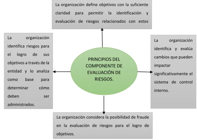 Cuadro 7 Principios del Componente de Evaluación de Riegos 