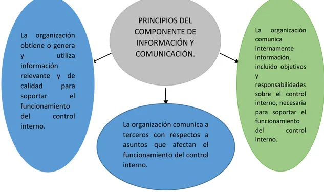 Cuadro 9 Principios del Componente de Información y Comunicación 