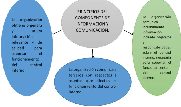 Cuadro 9 Principios del Componente de Información y Comunicación 