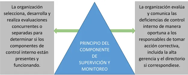 Cuadro 10 Principio del Componente de Supervisión y Monitoreo 