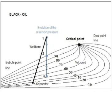 Figure 1. Black-Oil phase diagram