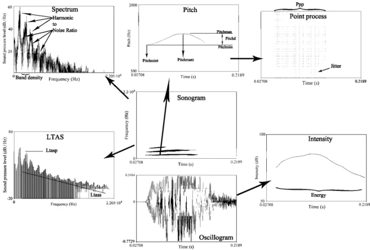 Fig. 1 Main parameters measured for the acoustic analysis using  Praat functions. The oscillogram shows the actual complex waveform  of a single bark