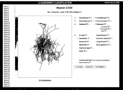 Fig. 2. Web application showing one of the 320 neurons to be classified by each expert