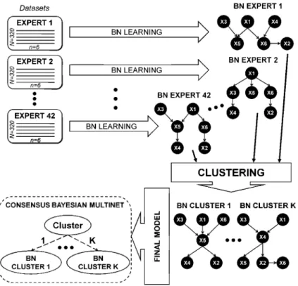 Fig. 3. General methodology for building a consensus Bayesian multinet which represents the behavior of a set of experts