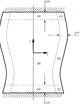 FIGURE 1. Sketch of the four regions in the liquid bridge. 