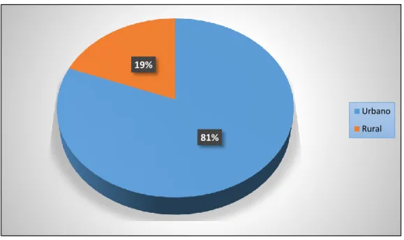 Gráfico 1. Procedencia