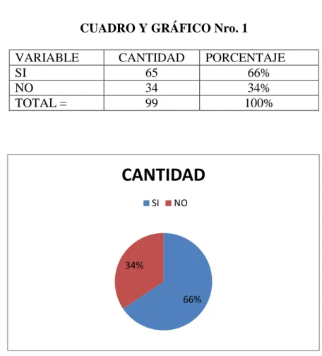 CUADRO Y GRÁFICO Nro. 1 