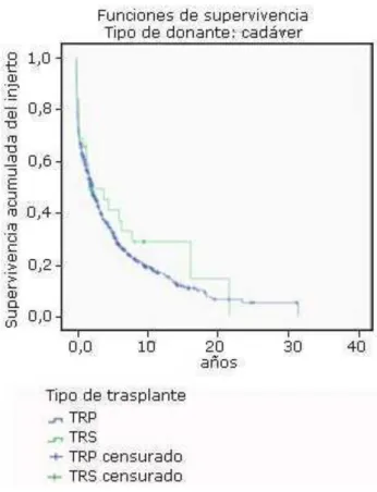 Fig. 5 - Supervivencia de los PTR y STR en los donantes cadavéricos. 