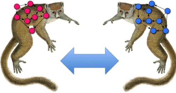 Figure 6: The concrete instantiation is selected dynamically.