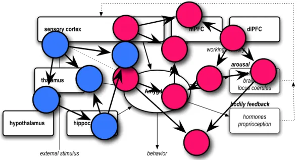Figure 9: The physiological patterns are multiple-intanstiated over the anatomy of the agent.