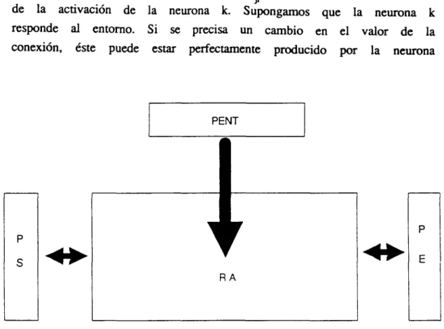 Fig 3.12: Ilustración de las distintas parte^ de un módulo 