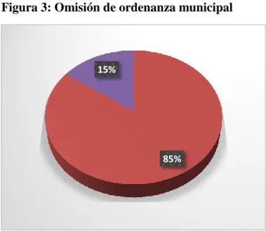 Figura 3: Omisión de ordenanza municipal : 