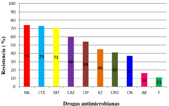 Fig. 1. Frecuencia de resistencia antibiótica en aislamientos de Escherichia coli. 